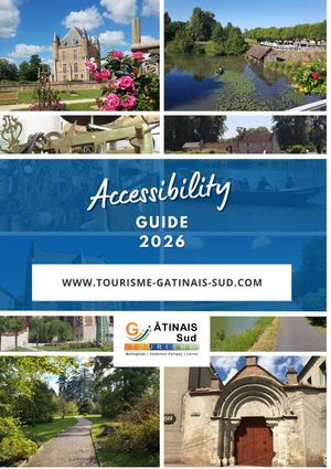Guide Accessibilite Anglais