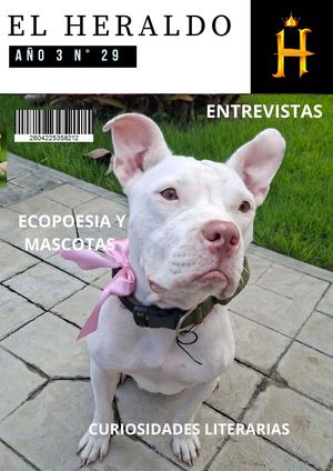 Heraldo 29