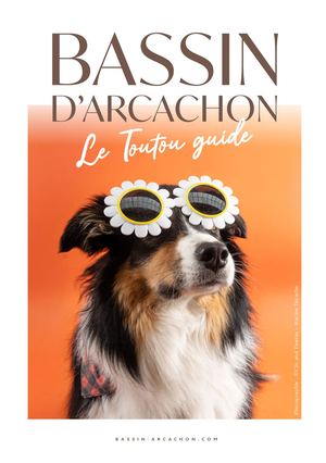 Le Toutou Guide - Bassin d'Arcachon
