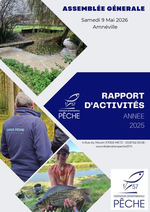 Rapport D'activités 2025