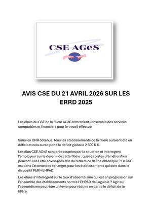 ERRD 2025 (budgets) : avis du CSE