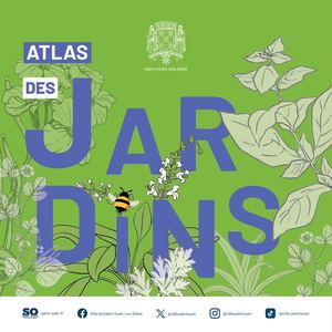 2026 62 Atlas 4 Pp