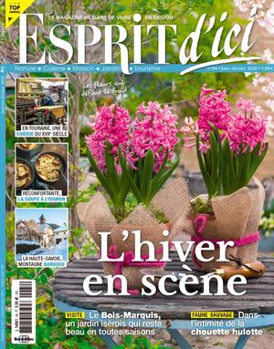 Esprit D'ici - Fours et inserts