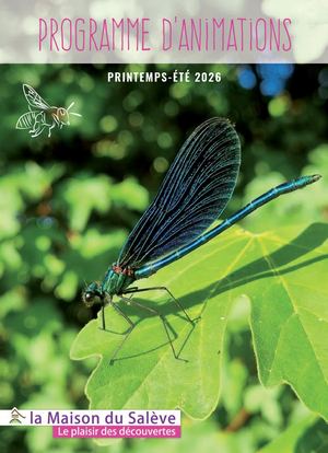 Programme d'animations Été 2026
