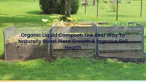 Organic Liquid Compost: The Best Way To Naturally Boost Plant Growth & Improve Soil Health