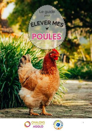 Guide pour élever des poules