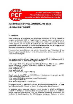 Lamon Fournet - CA 2025 : avis du CSE