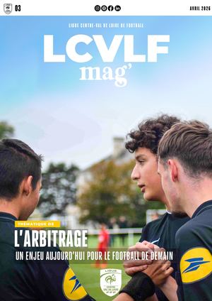 N°3 LCVLF MAG' : L'ARBITRAGE