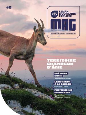 Mag #3 Leman Mountains Explore