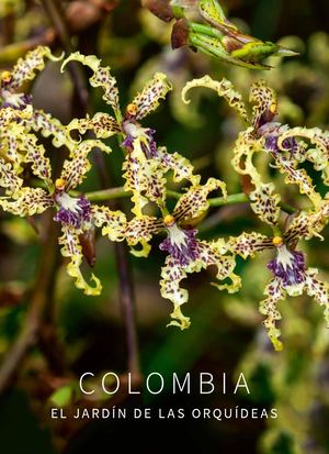 Orquideas Final 251125