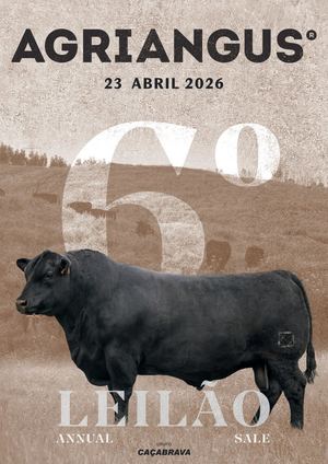 Catálogo do 6.º Leilão de gado bovino da Agriangus