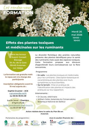 Formation Plantes Médicinales