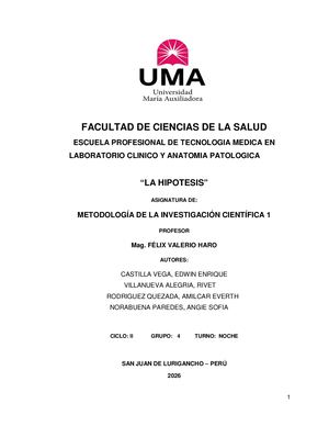 Informe Académico La Hipotesis