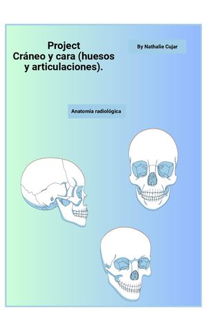 Estructuras Anatómicas Del Cráneo Y Cara