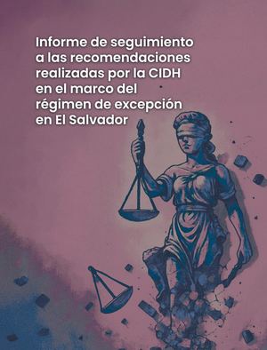 O Informe Recomendaciones Cidh Final 1 1