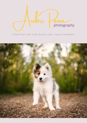 Session Guide for Aubri Poon Photography