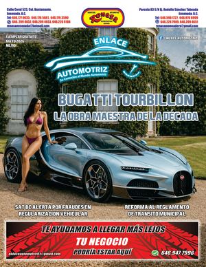 Enlace Automotriz Redes