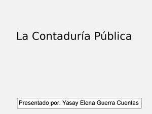 Contaduria Publica