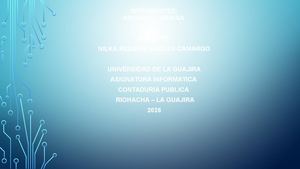 contaduria publica