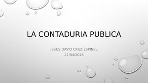 CONTADURIA PUBLICA