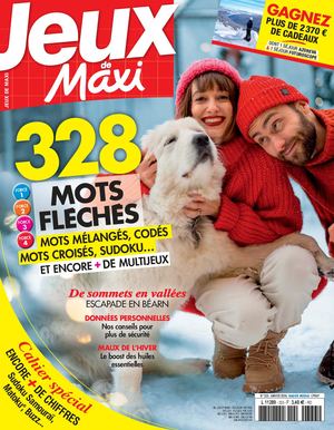 JEUX DE MAXI 333