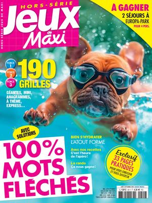 JEUX DE MAXI HS FLECHES  49