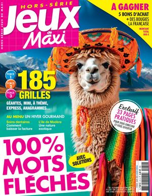 JEUX DE MAXI HS FLECHES 51