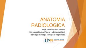 Anatomia Radiologica Libro 2
