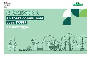 4 saisons en forêt communale de montagne