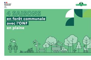 4 saisons en forêt communale de plaine