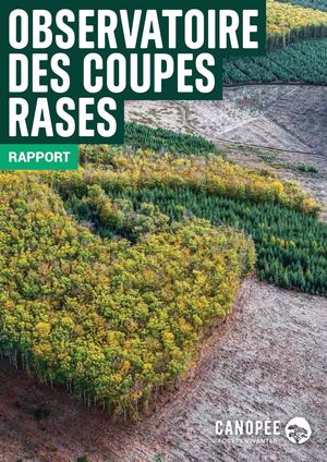 Canopee Rapport Observatoire Coupes Rases Fevrier2026 Pl Optimized