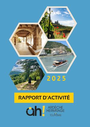 Rapport Activité 2025 Interne