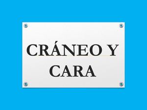 CRANEO Y CARA