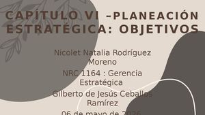 Capítulo Vi – Planeación Estratégica