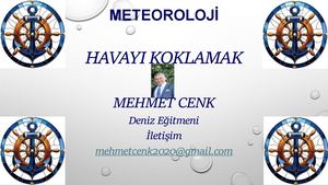 Havayı Koklamak