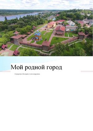 Город Мозырь