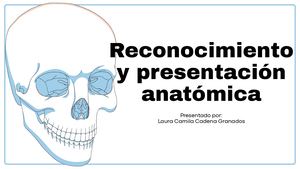 Anatomíaa 4