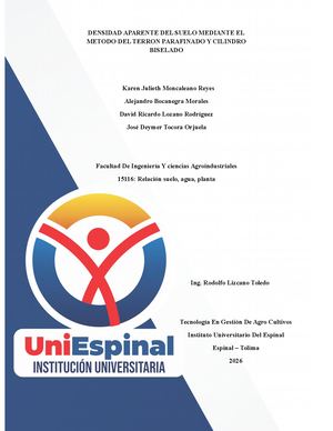 Informe Terron Parafinado Y Cilindro Biselado