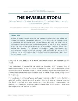 Invisible Storm 5G
