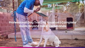 Professional Dog Training Houston | Complete Guide Beyond Basic Commands
