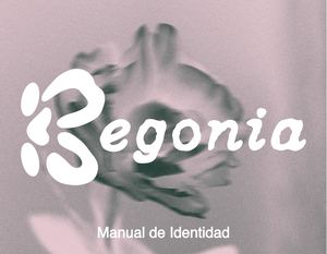 Final Manual De Identidad Begonia Compressed
