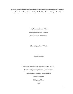 Informe De Suelos