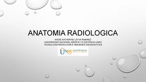 Anatomia Radiologica Del Craneo y Cara.