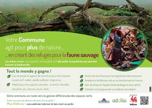 A2 Faune Arbres Morts 2026