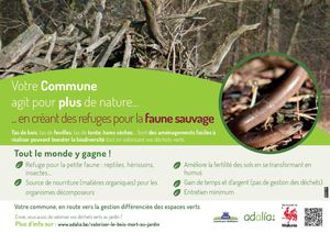 A2 Faune Tas De Bois 2026