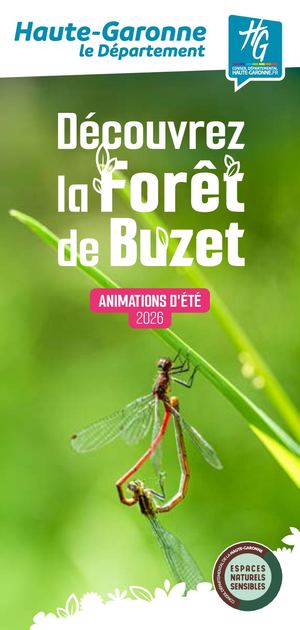Programme des animations été