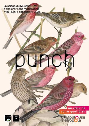 Punch #15