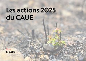 Complément bilan d'activité 2025