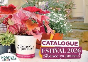 Catalogue Estival SCP - 2026