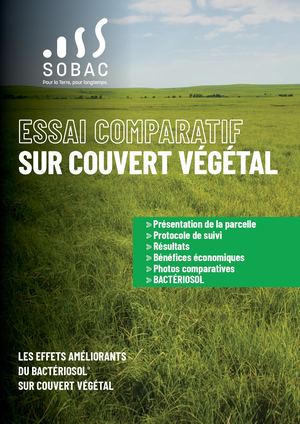 Essai Comparatif Sur Couvert Végétal_Avril2026
